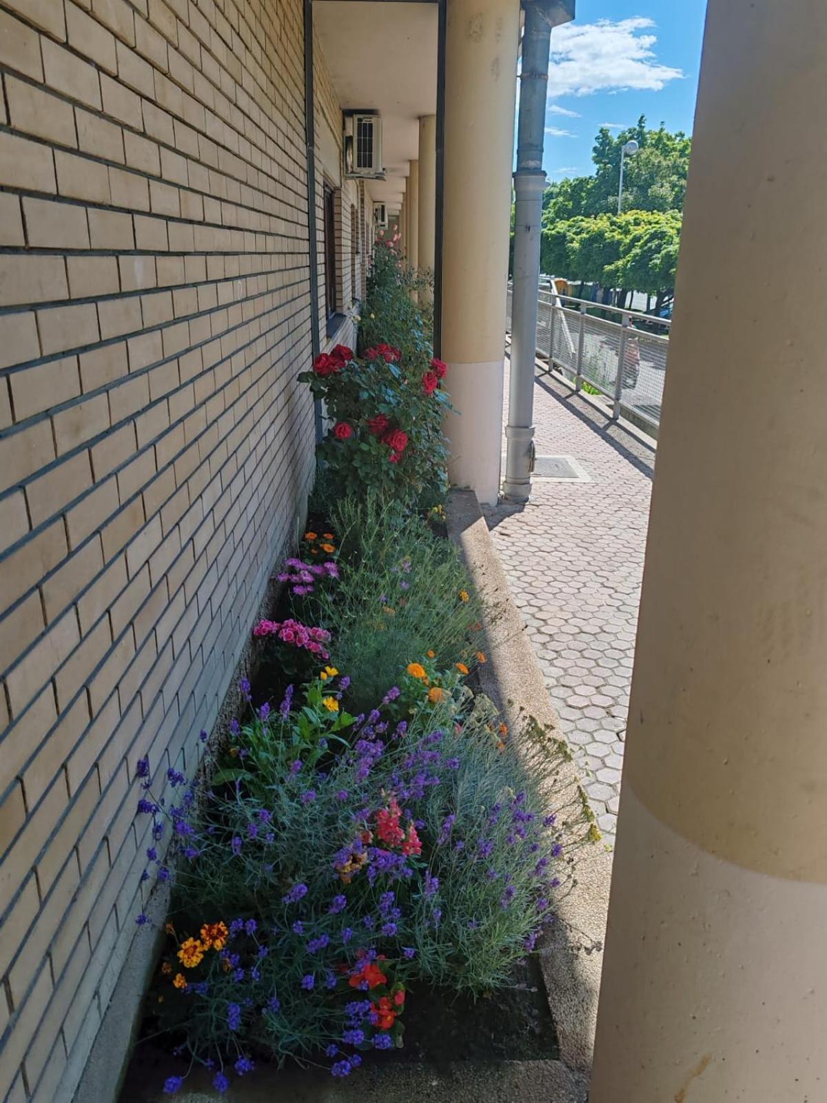 Aurea Apartment
